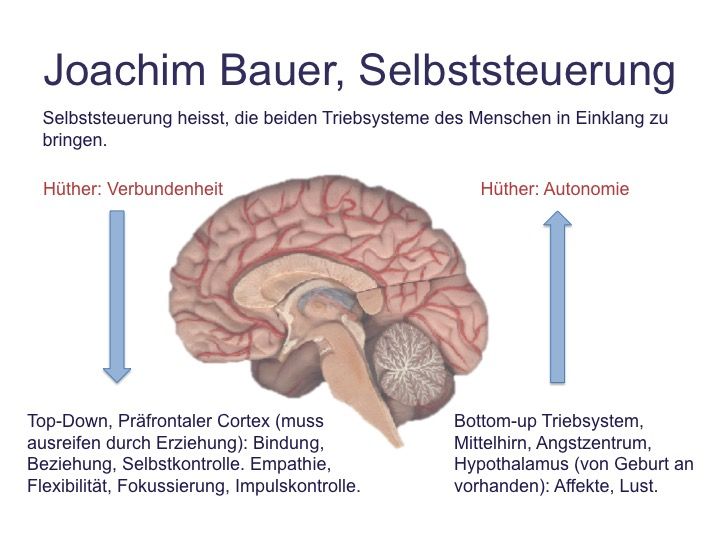 Bauer Triebsysteme